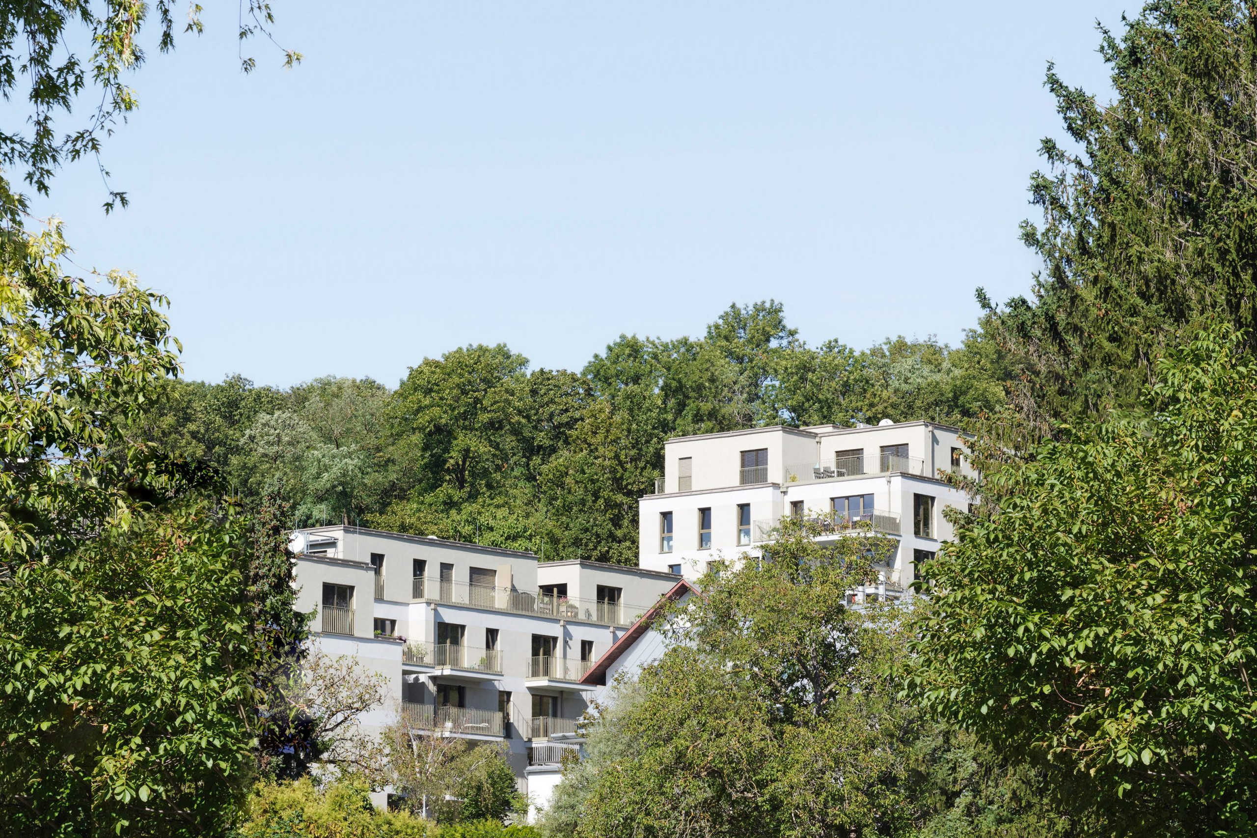 Frey49-scaled-uai-2560x1706